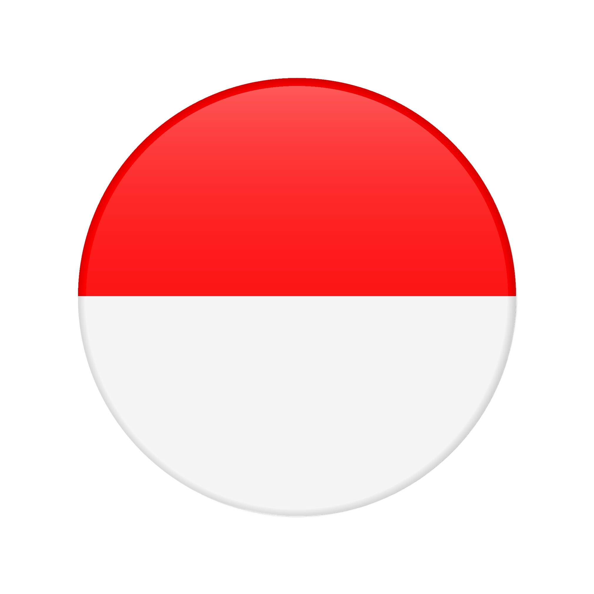 Indonesia-Electronic Customs Declaration